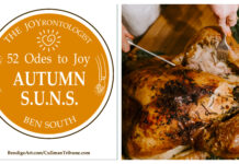 52 ODES TO JOY: AUTUMN S.U.N.S.