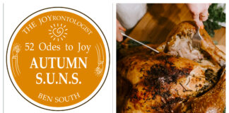 52 ODES TO JOY: AUTUMN S.U.N.S.