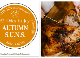 52 ODES TO JOY: AUTUMN S.U.N.S.