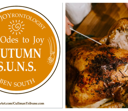 52 ODES TO JOY: AUTUMN S.U.N.S.