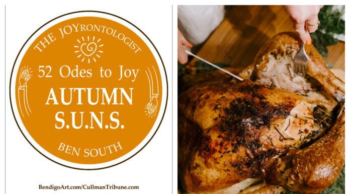 52 ODES TO JOY: AUTUMN S.U.N.S.