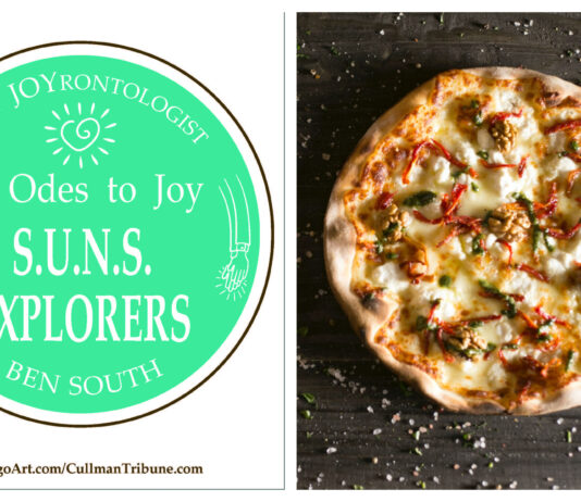 52 ODES TO JOY: S.U.N.S. EXPLORERS