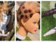 3 CATA Cosmetology students to participate in prestigious tradeshow