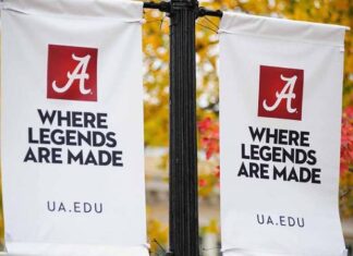 Brooks, Dueland, Collins named to UA 2022-2023 Freshman Forum cohort