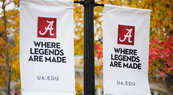 Brooks, Dueland, Collins named to UA 2022-2023 Freshman Forum cohort