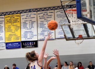 PREP BASKETBALL: Cold Springs splits season openers against Cordova