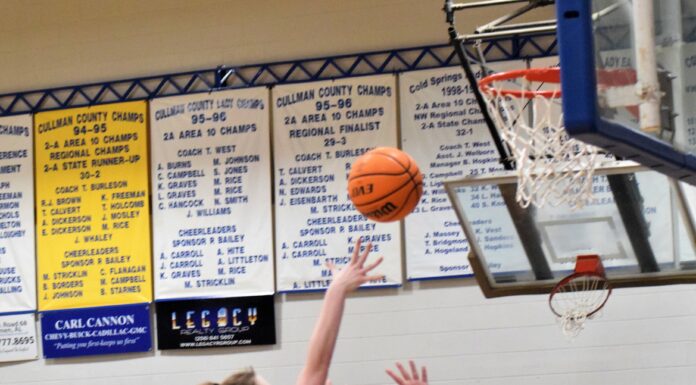 PREP BASKETBALL: Cold Springs splits season openers against Cordova