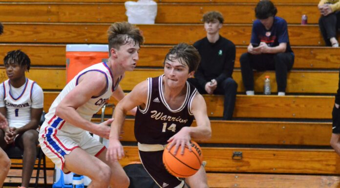 PREP BASKETBALL: West Point falls to Cordova at Holly Pond Thanksgiving Tournament, Broncos, Knights collect wins