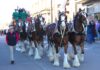 Budweiser Clydesdales bring Christmas season to Cullman
