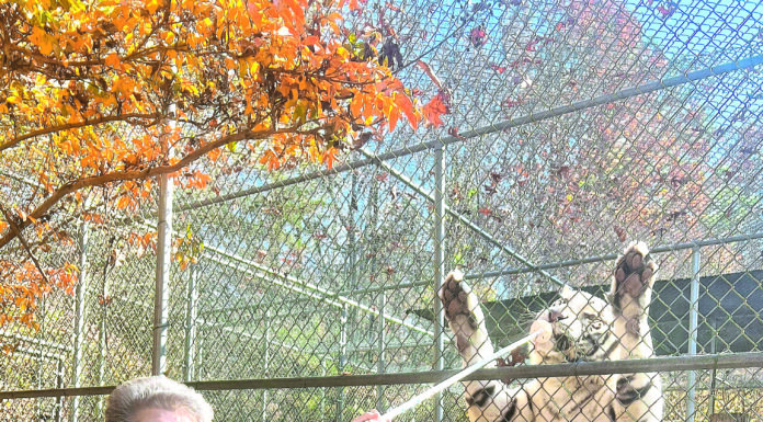 Tigers for Tomorrow fall, winter hours