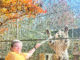 Tigers for Tomorrow fall, winter hours