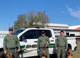CCSO K-9 team recognized as NNDDA ‘Top tracking team’