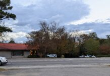 City planning commission holds multiple public hearings