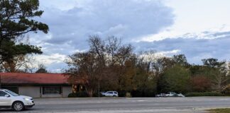 City planning commission holds multiple public hearings