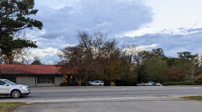 City planning commission holds multiple public hearings