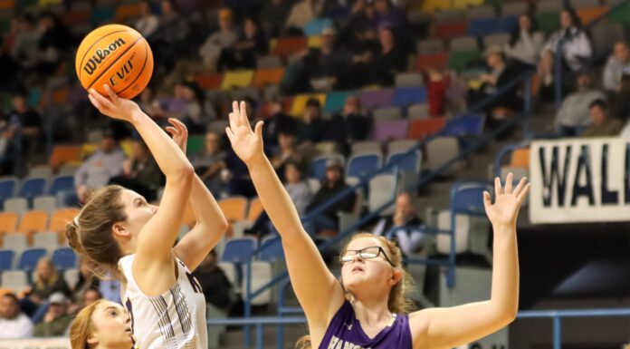 ‘We want to win, and we want to put a number on the wall’: Hanceville’s Kate Sterling ready for junior season