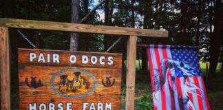 Pair O’ Docs Farm to hold 1st competition for young riders