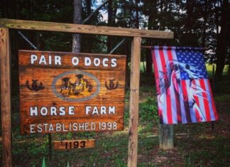Pair O’ Docs Farm to hold 1st competition for young riders