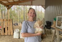 ‘They love you no matter what’