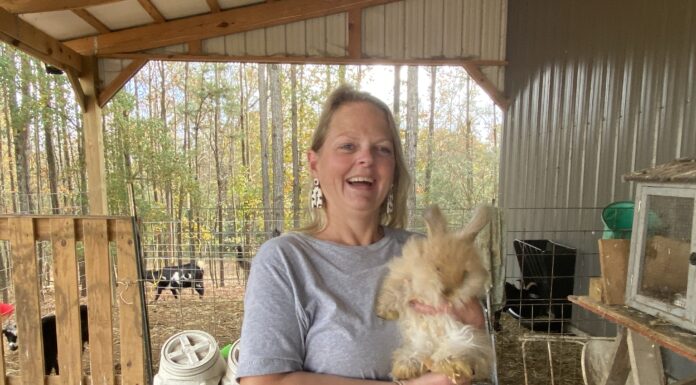 ‘They love you no matter what’