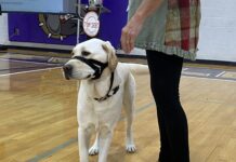 Agent ‘Ghost’ begins special mission