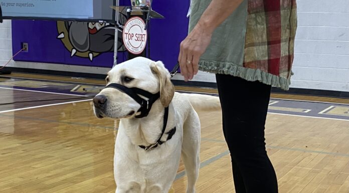 Agent ‘Ghost’ begins special mission