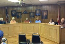 Vinemont purchases new business license software