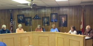 Vinemont purchases new business license software