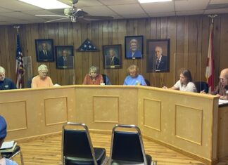 Vinemont purchases new business license software