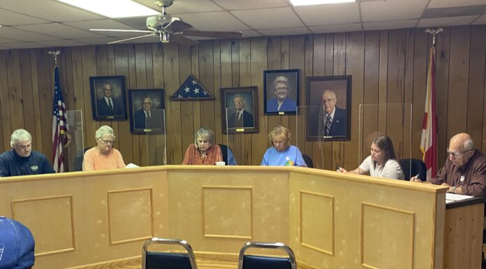 Vinemont purchases new business license software