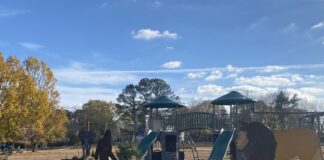 Vinemont Christmas in the Park Dec. 3