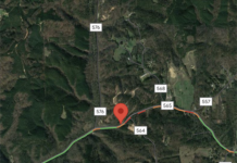 Vinemont man killed in single-vehicle crash