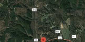 Vinemont man killed in single-vehicle crash