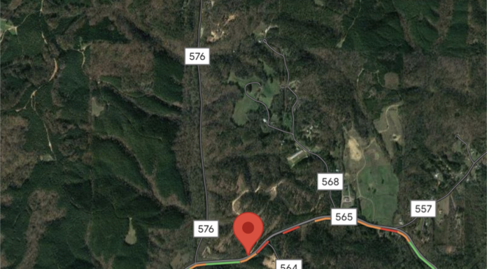 Vinemont man killed in single-vehicle crash