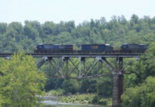 Hanceville man hit by train, succumbs to injuries