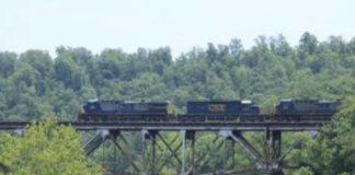 Hanceville man hit by train, succumbs to injuries