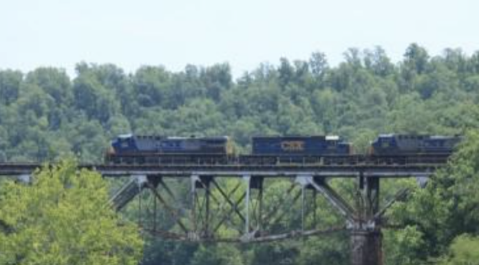 Hanceville man hit by train, succumbs to injuries