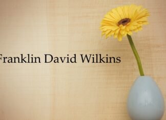Obituary: Franklin David Wilkins