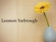 Obituary: Doris Leamon Yarbrough