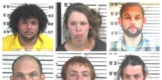 CCSO arrest roundup