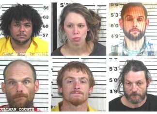 CCSO arrest roundup