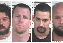 CCSO arrest roundup