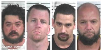 CCSO arrest roundup