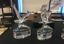 Nominations open for Alabama State Parks 7th Annual Eagle Awards