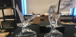 Nominations open for Alabama State Parks 7th Annual Eagle Awards