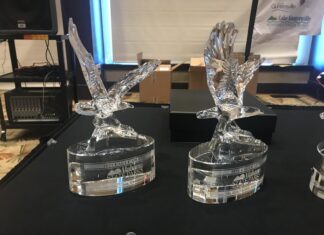 Nominations open for Alabama State Parks 7th Annual Eagle Awards