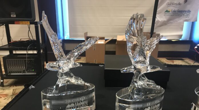 Nominations open for Alabama State Parks 7th Annual Eagle Awards