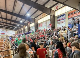 CCSO Special Needs Rodeo sees record crowd; big rodeo weekend expected