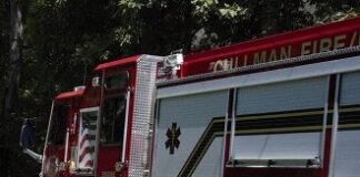 Cullman City Council passes emergency response ordinance