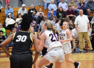 PREP BASKETBALL: Fairview drops area matchups with Scottsboro